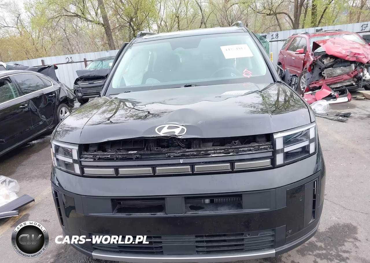 2024 Hyundai Santa Fe Hybrid Sel VIN:5NMP2DG17RH000363 - 13
