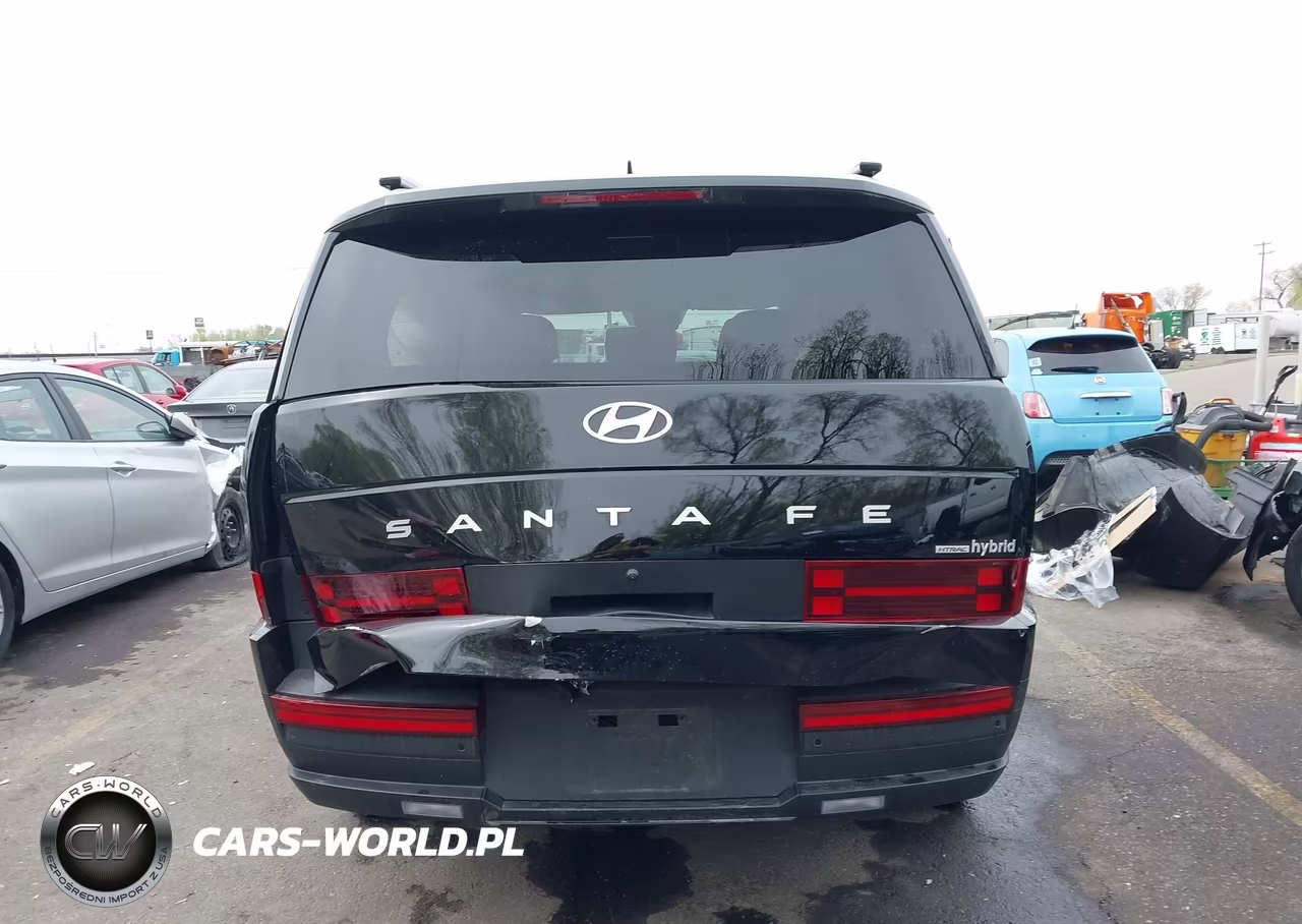 2024 Hyundai Santa Fe Hybrid Sel VIN:5NMP2DG17RH000363 - 17