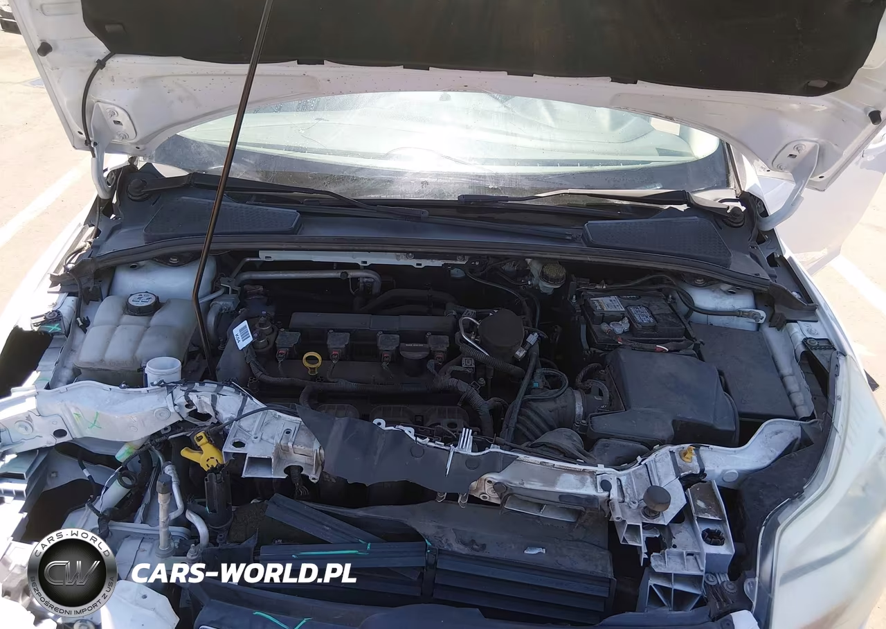 2014 Ford Focus Se VIN:1FADP3F2XEL351470 - 10