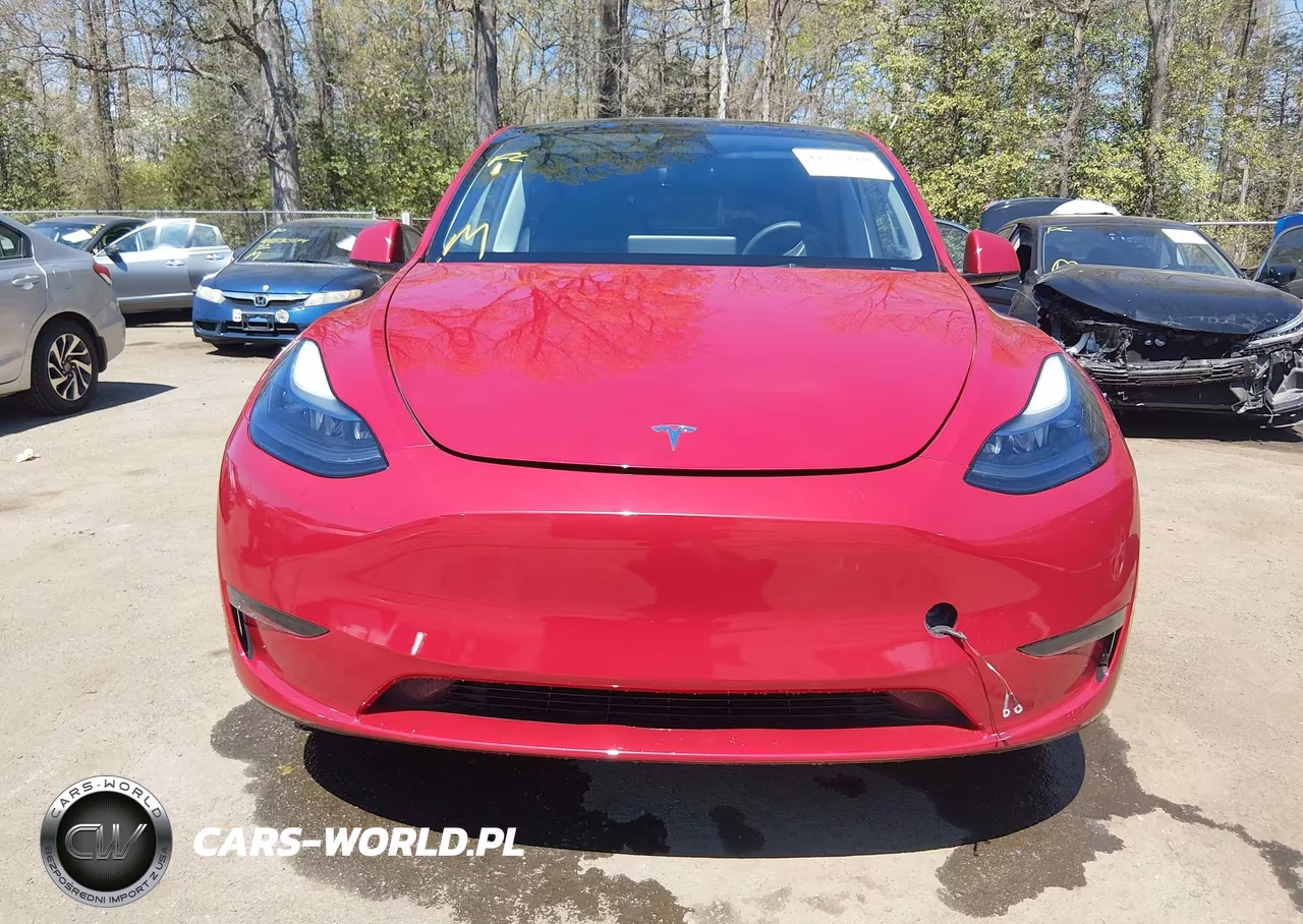 2023 Tesla Model Y VIN:7SAYGDEE4PA203673 - 11