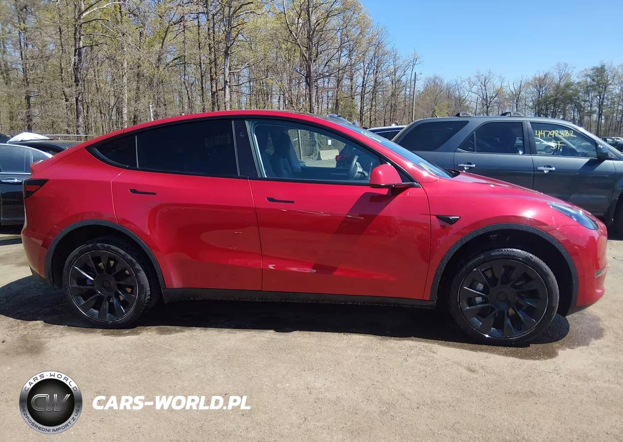 2023 Tesla Model Y VIN:7SAYGDEE4PA203673 - 12