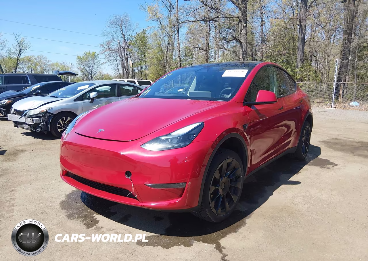 2023 Tesla Model Y VIN:7SAYGDEE4PA203673 - 2