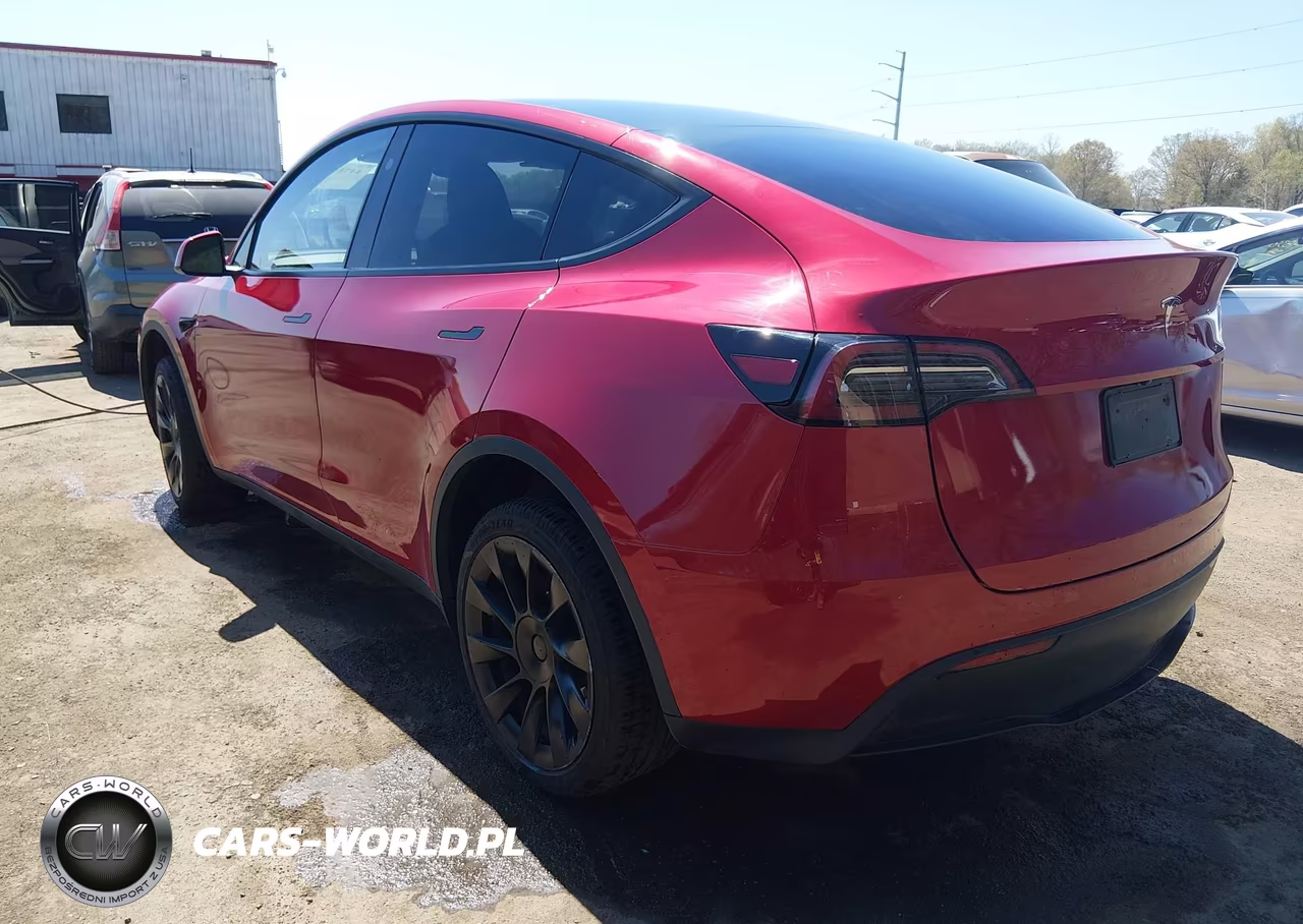 2023 Tesla Model Y VIN:7SAYGDEE4PA203673 - 3