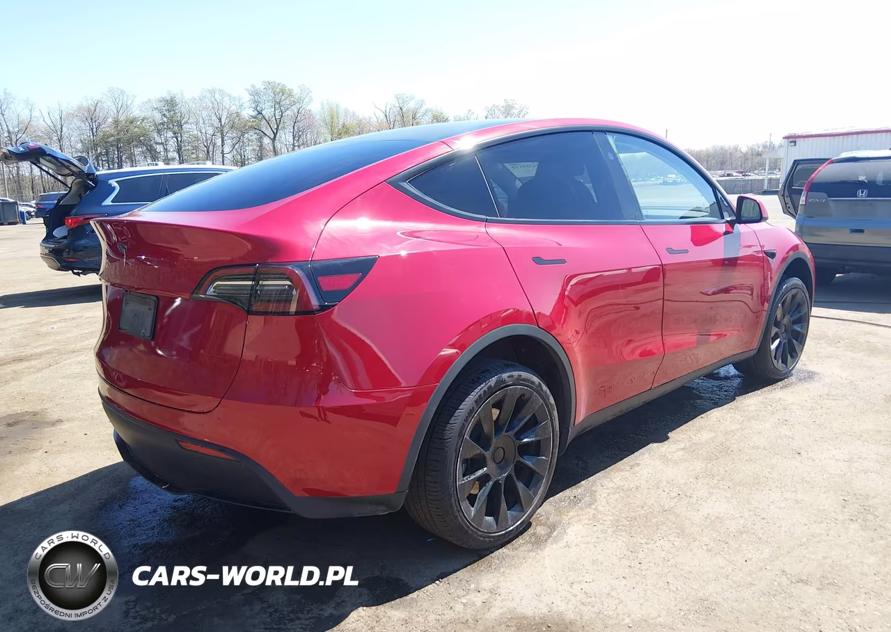2023 Tesla Model Y VIN:7SAYGDEE4PA203673 - 4
