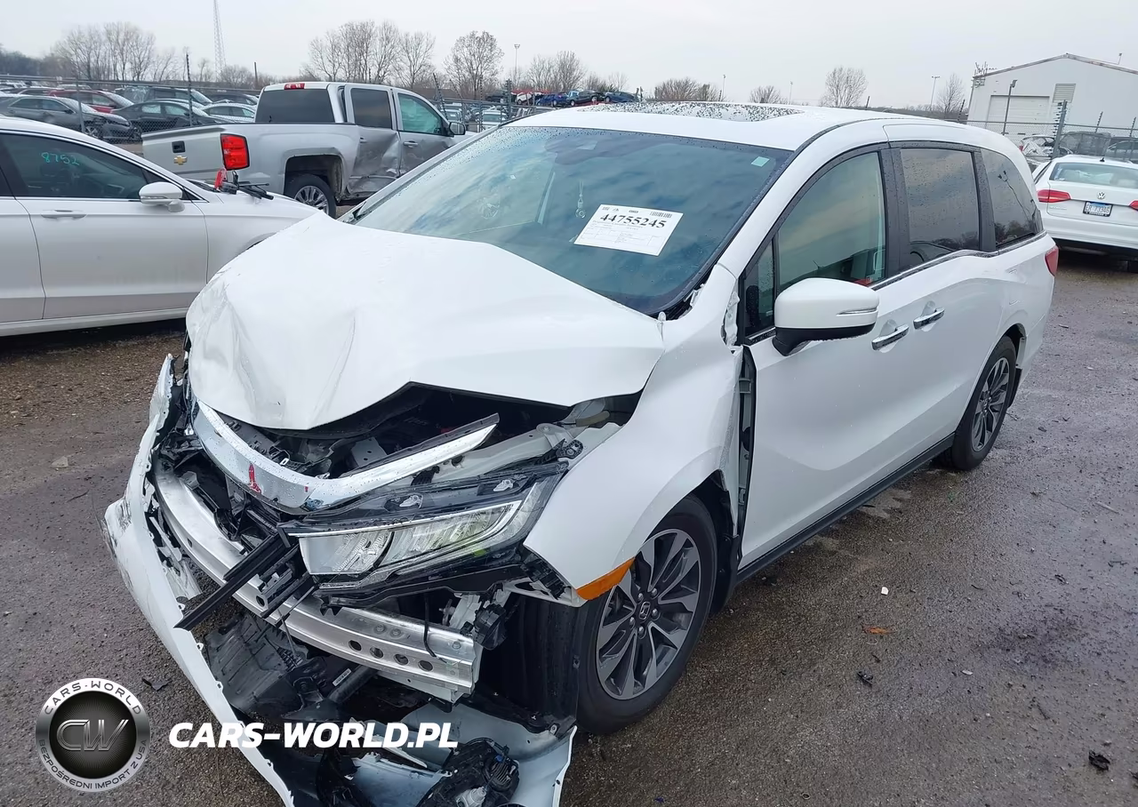 2024 Honda Odyssey Ex-L VIN:5FNRL6H60RB039180 - 2