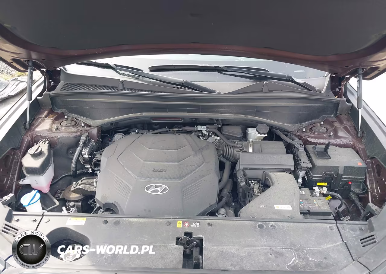 2024 Hyundai Palisade Sel VIN:KM8R44GE4RU765041 - 10