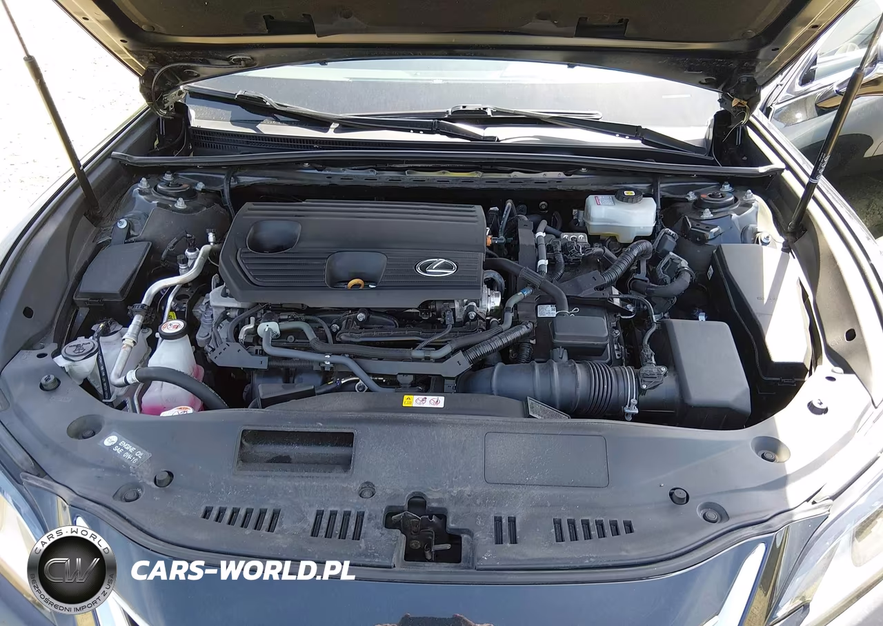 2022 Lexus Es 300H VIN:58ADA1C19NU025167 - 10