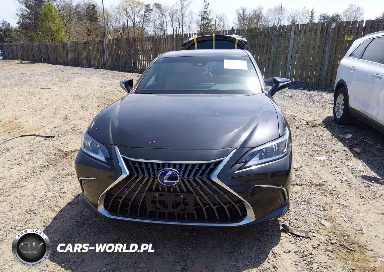 2022 Lexus Es 300H VIN:58ADA1C19NU025167 - 12