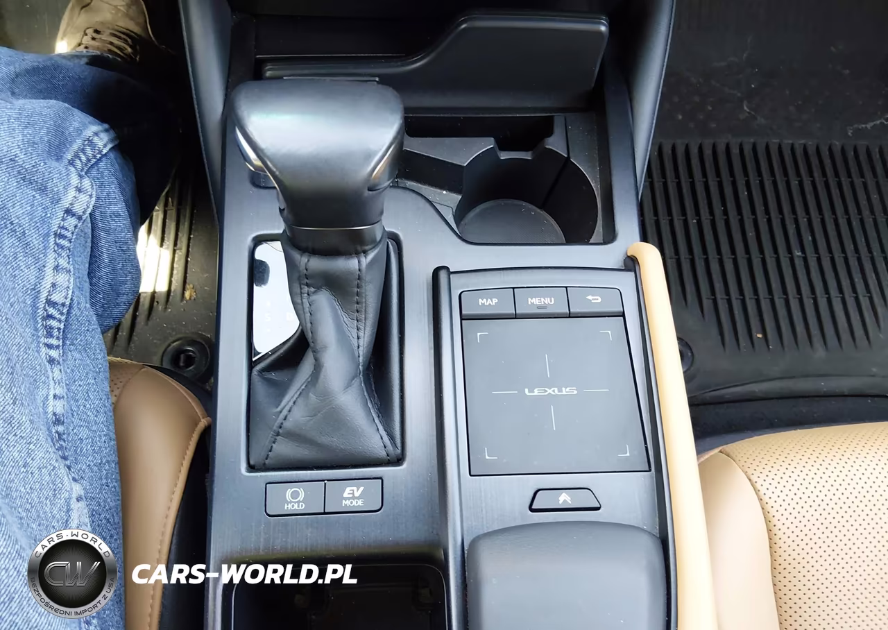 2022 Lexus Es 300H VIN:58ADA1C19NU025167 - 18