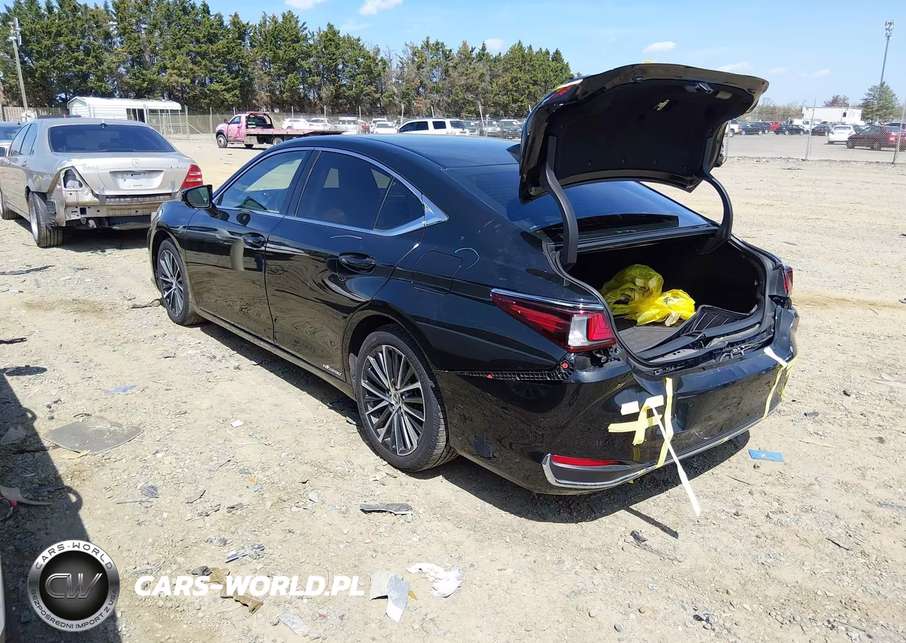 2022 Lexus Es 300H VIN:58ADA1C19NU025167 - 3