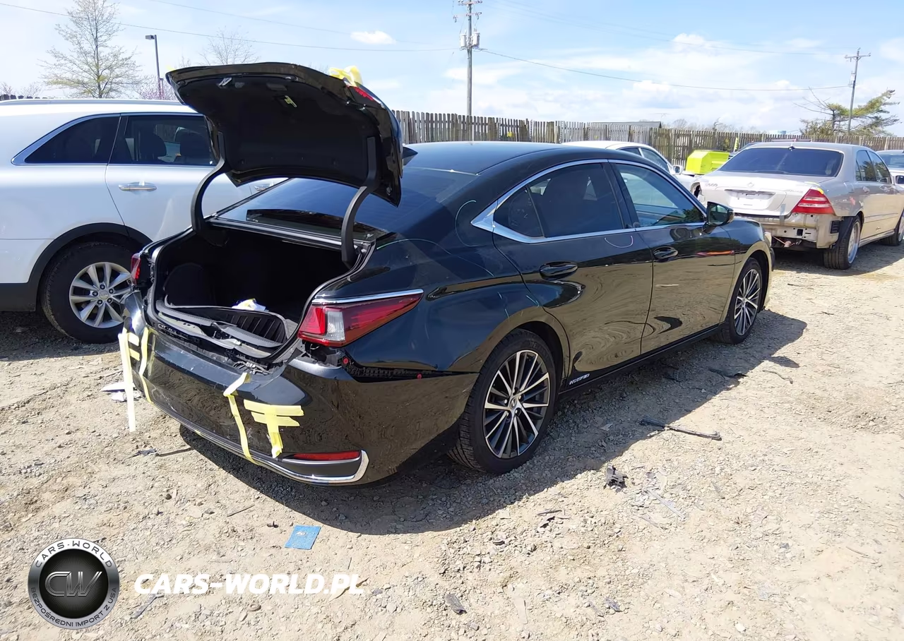 2022 Lexus Es 300H VIN:58ADA1C19NU025167 - 4