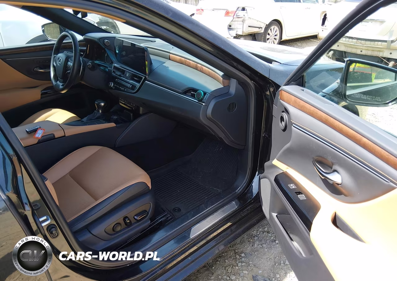 2022 Lexus Es 300H VIN:58ADA1C19NU025167 - 5