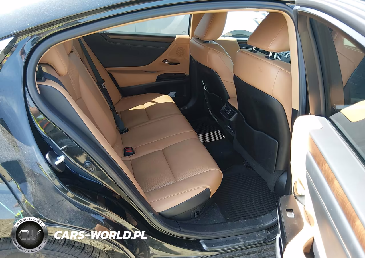 2022 Lexus Es 300H VIN:58ADA1C19NU025167 - 8