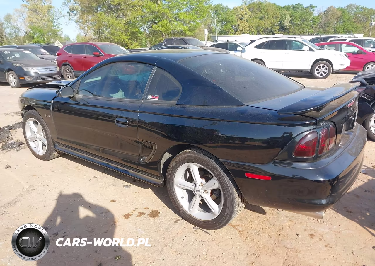 1998 Ford Mustang Gt VIN:1FAFP42X5WF192731 - 3
