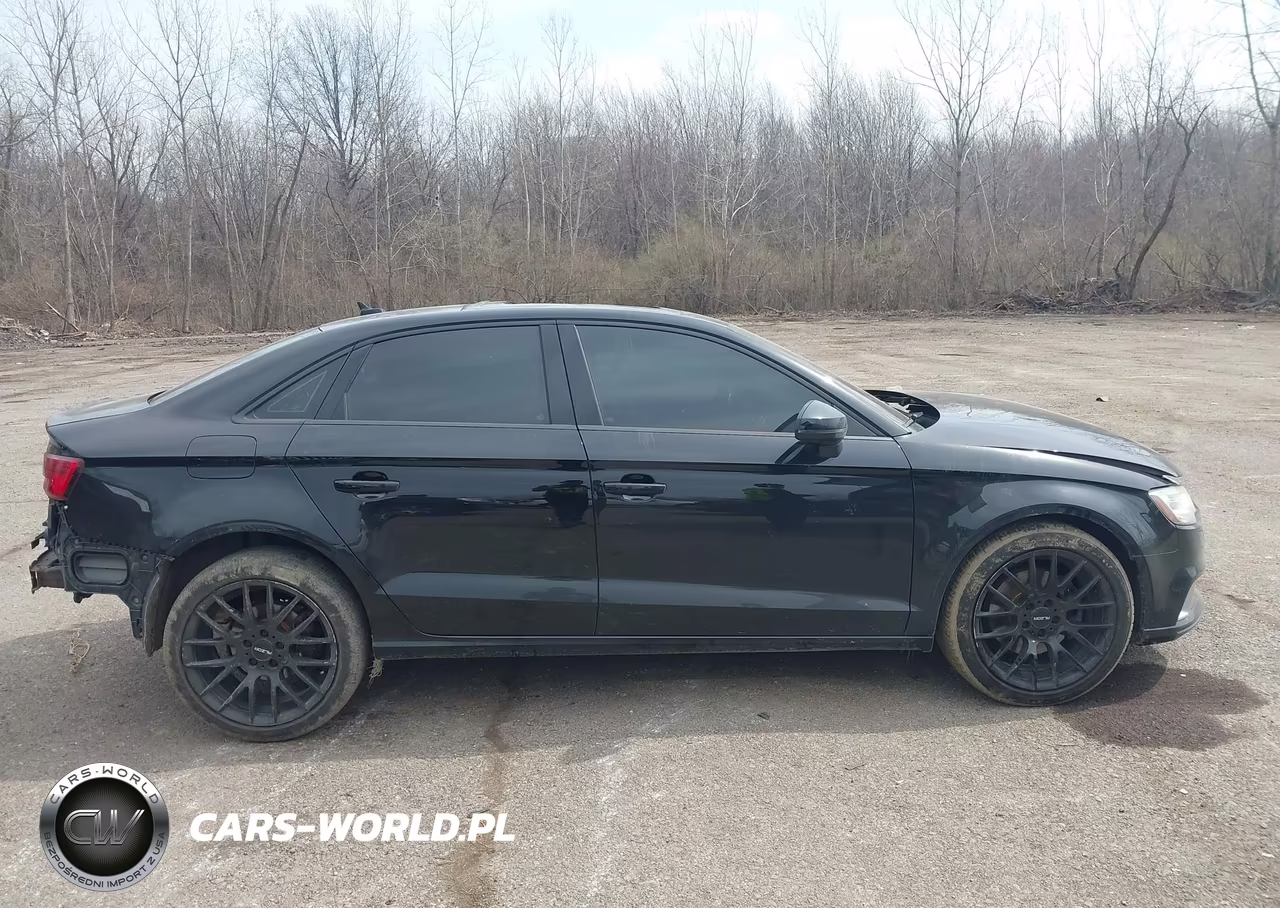 2017 Audi A3 2.0T Premium VIN:WAUAUGFF0H1042667 - 12