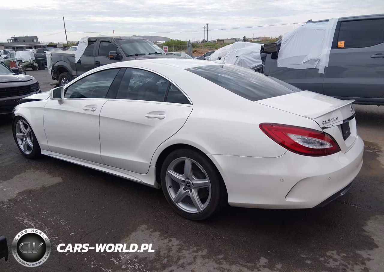 2017 Mercedes-Benz Cls 550 4Matic VIN:WDDLJ9BB7HA198259 - 13