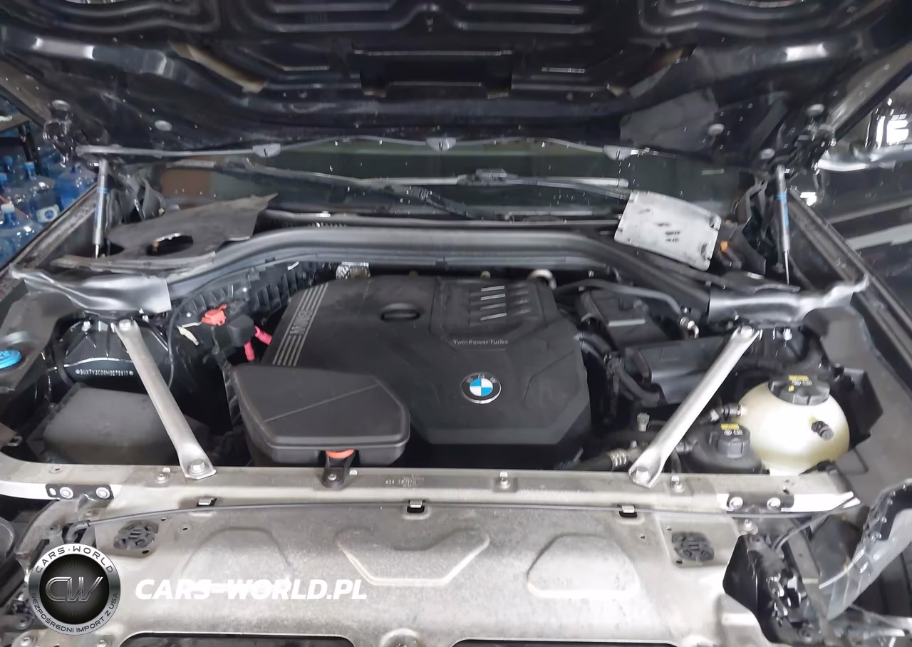 2021 BMW X3 Sdrive30I VIN:5UXTY3C08M9D79917 - 10