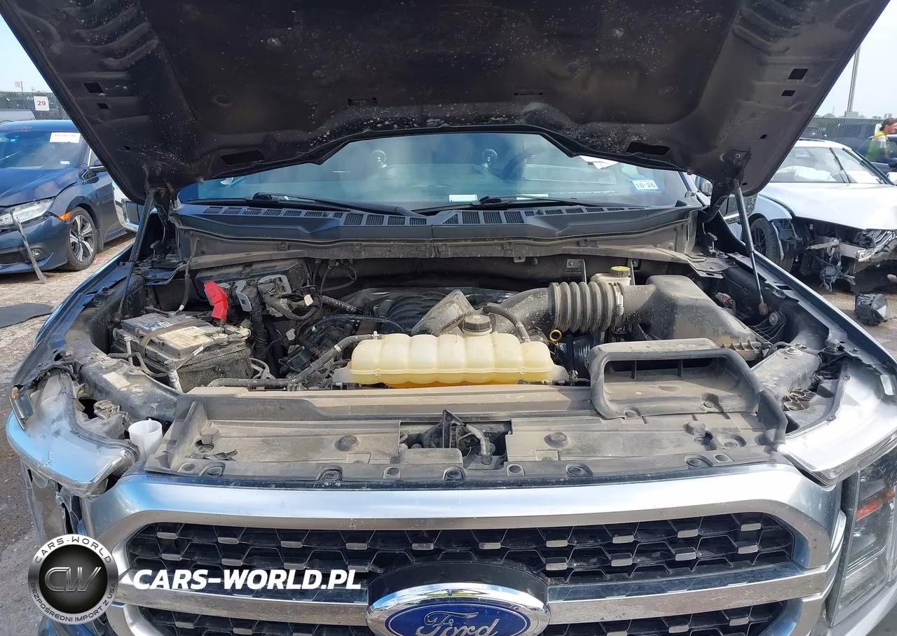 2022 Ford F-150 Platinum VIN:1FTFW1E56NFB15385 - 10