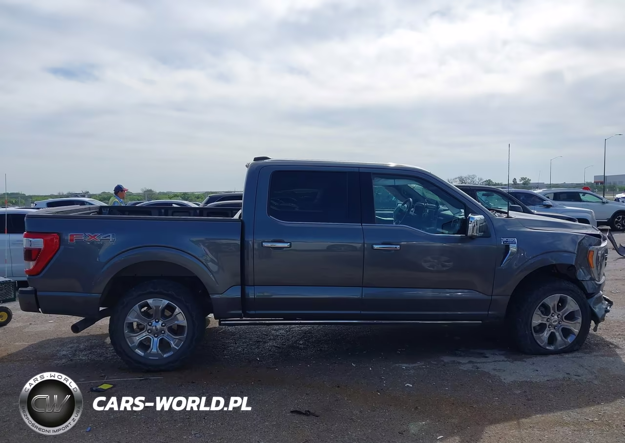 2022 Ford F-150 Platinum VIN:1FTFW1E56NFB15385 - 12