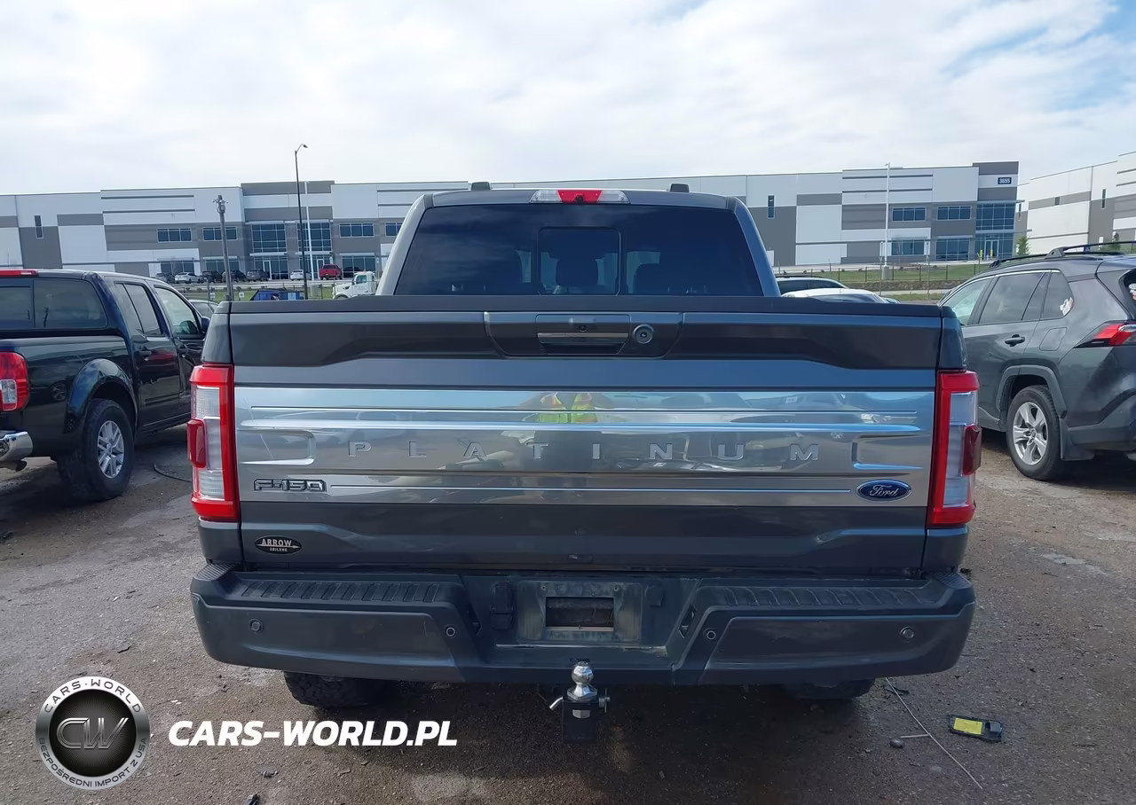 2022 Ford F-150 Platinum VIN:1FTFW1E56NFB15385 - 15