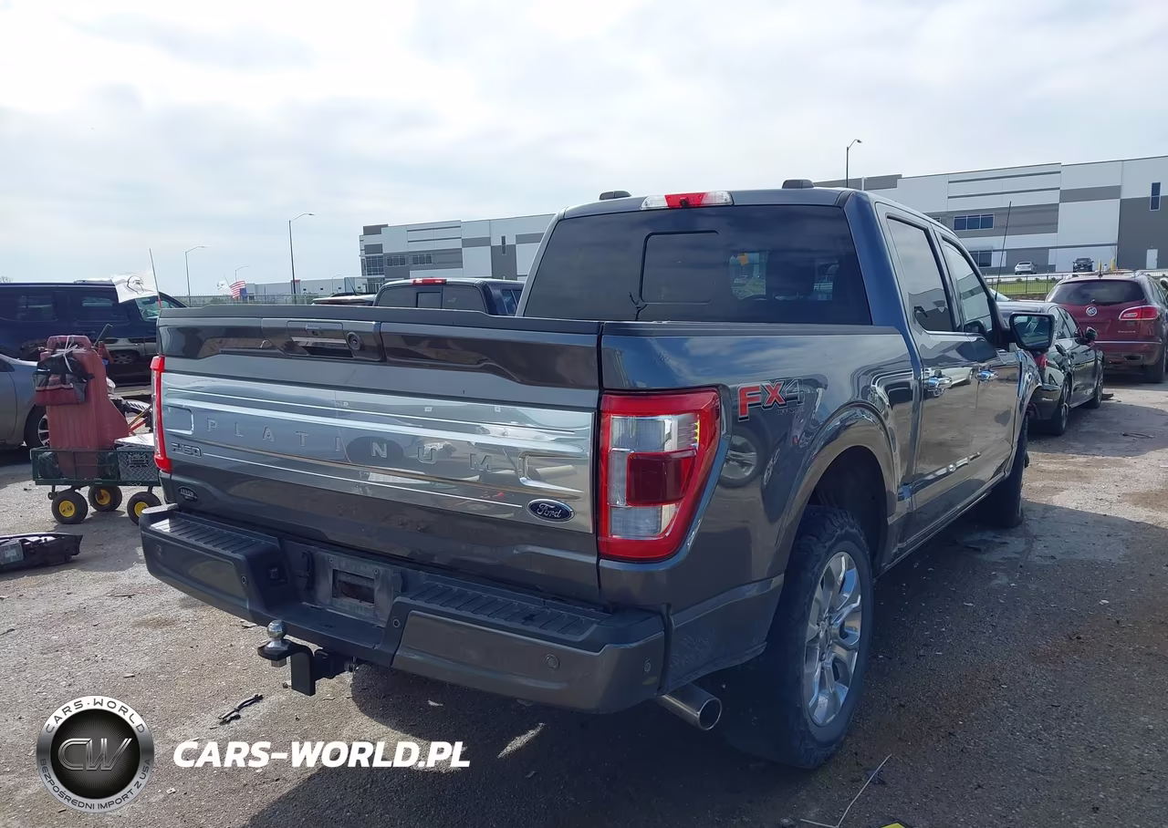 2022 Ford F-150 Platinum VIN:1FTFW1E56NFB15385 - 4