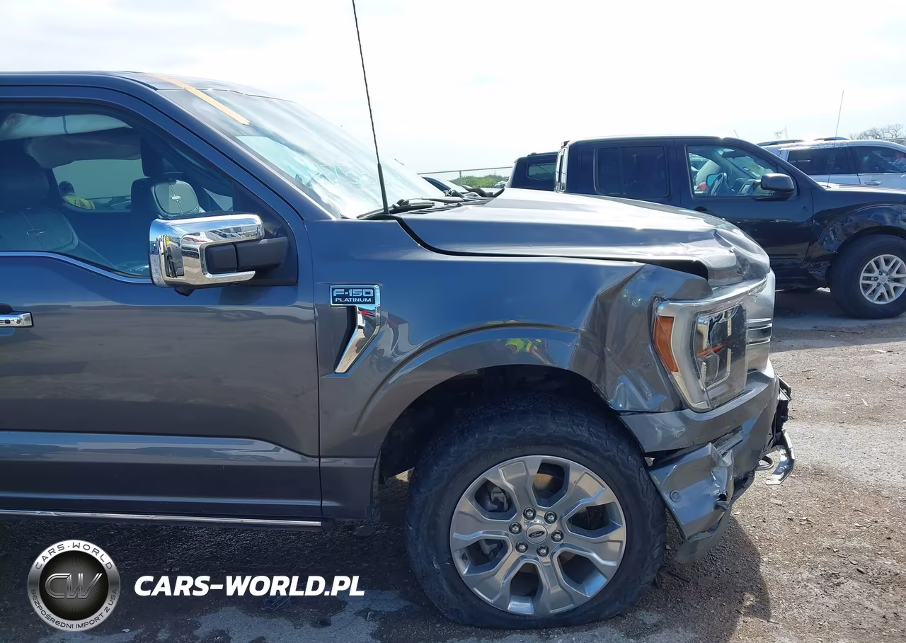 2022 Ford F-150 Platinum VIN:1FTFW1E56NFB15385 - 6