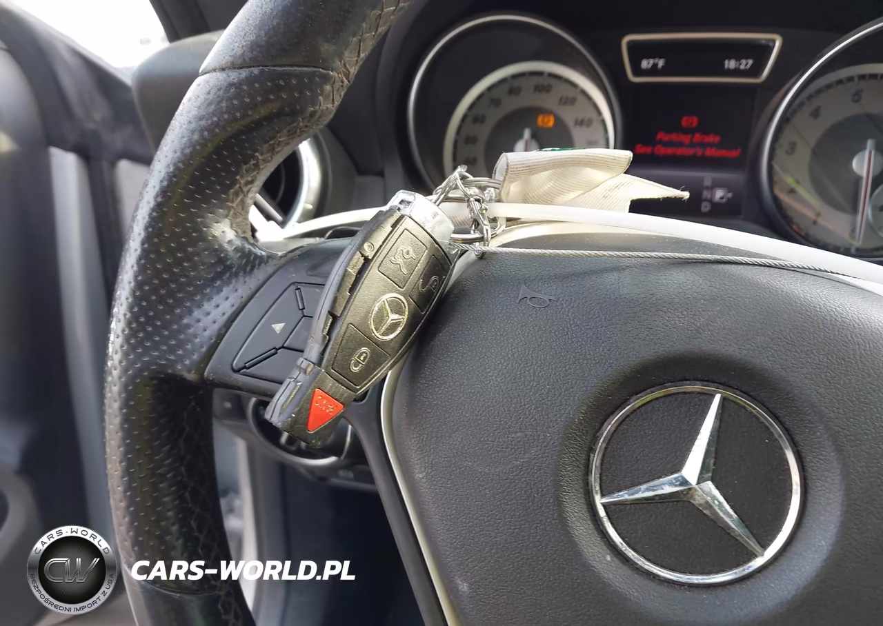2014 Mercedes-Benz Cla 250 VIN:WDDSJ4EB3EN049524 - 11