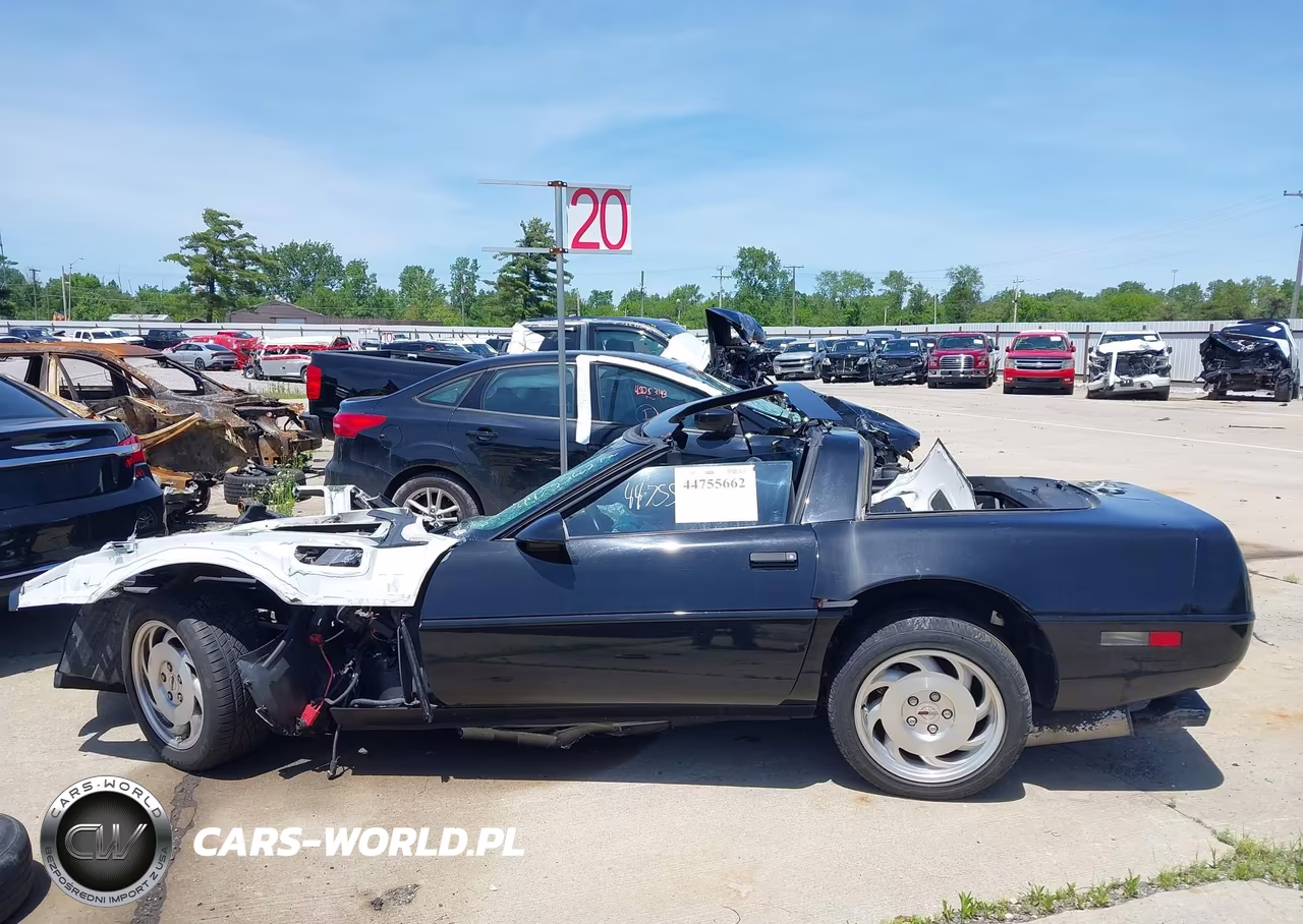 1994 Chevrolet Corvette VIN:1G1YY22P1R5103003 - 12