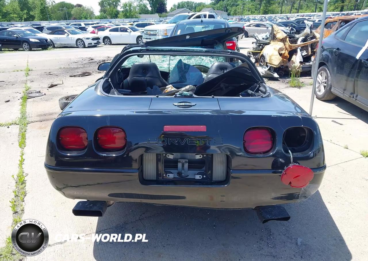 1994 Chevrolet Corvette VIN:1G1YY22P1R5103003 - 14