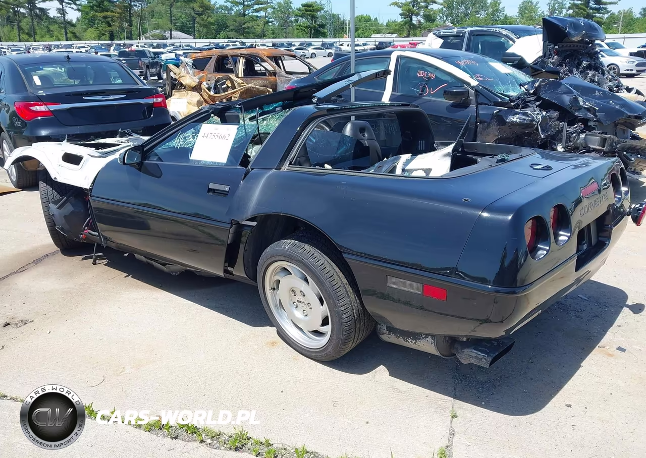 1994 Chevrolet Corvette VIN:1G1YY22P1R5103003 - 3