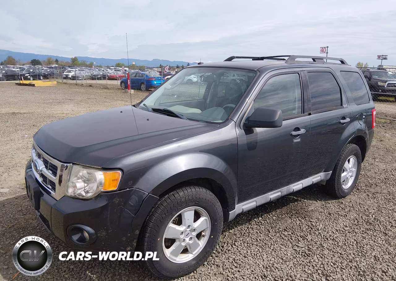 2009 Ford Escape Xlt VIN:1FMCU93G09KC49894 - 2