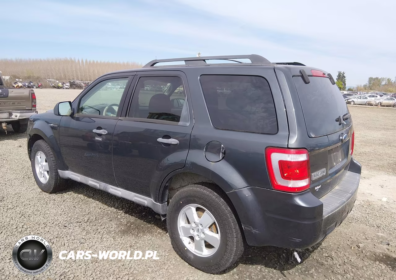 2009 Ford Escape Xlt VIN:1FMCU93G09KC49894 - 3