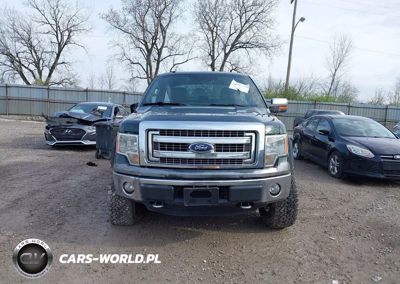 2013 Ford F-150 Xlt VIN:1FTFX1EF8DFC91195 - 12