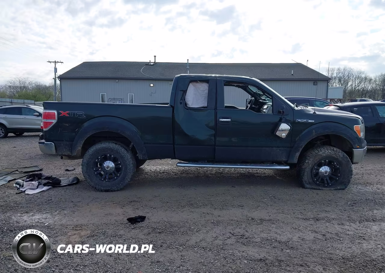 2013 Ford F-150 Xlt VIN:1FTFX1EF8DFC91195 - 13
