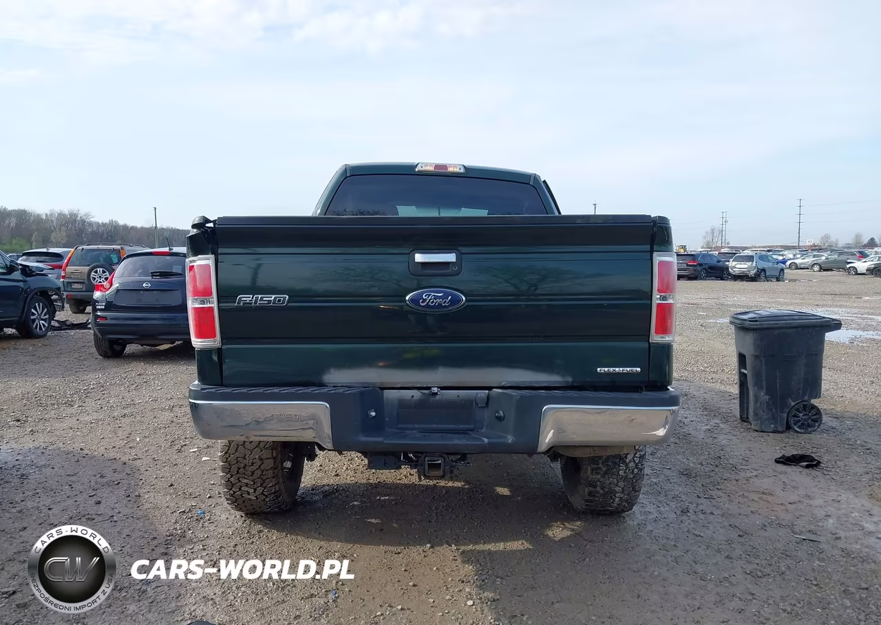 2013 Ford F-150 Xlt VIN:1FTFX1EF8DFC91195 - 16