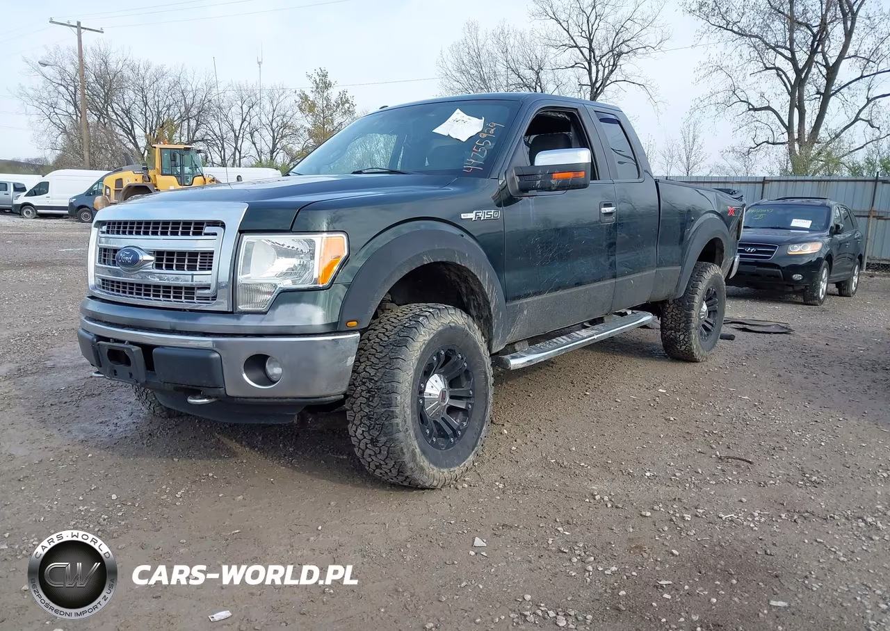 2013 Ford F-150 Xlt VIN:1FTFX1EF8DFC91195 - 2
