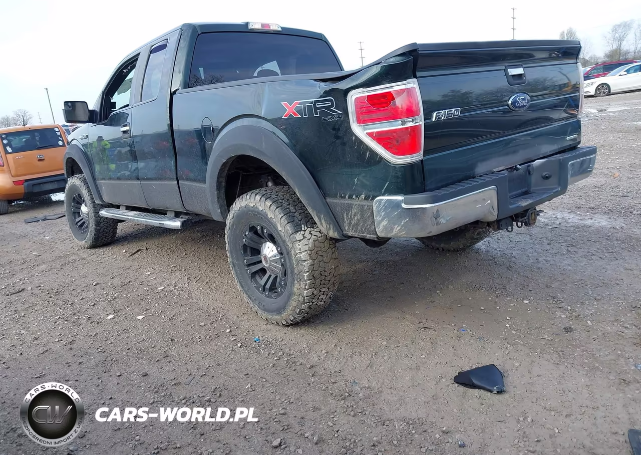 2013 Ford F-150 Xlt VIN:1FTFX1EF8DFC91195 - 3