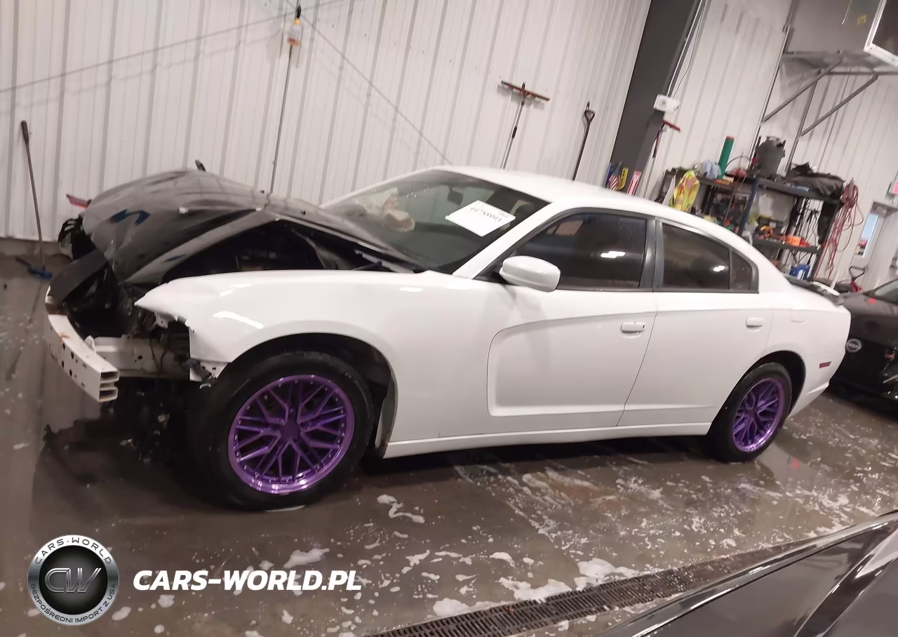 2012 Dodge Charger Police VIN:2C3CDXAT7CH241688 - 15