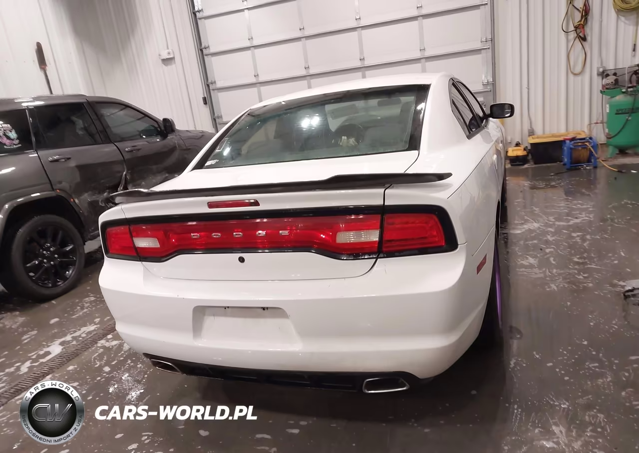 2012 Dodge Charger Police VIN:2C3CDXAT7CH241688 - 17