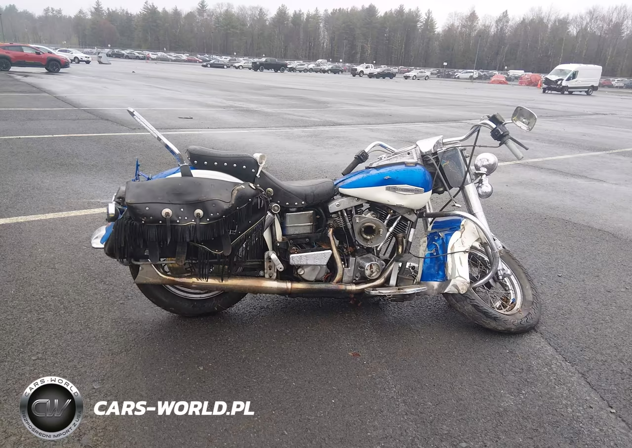 1981 Harley-Davidson Flh80 Heritage VIN:1HD1AJK21BY03243 - 12