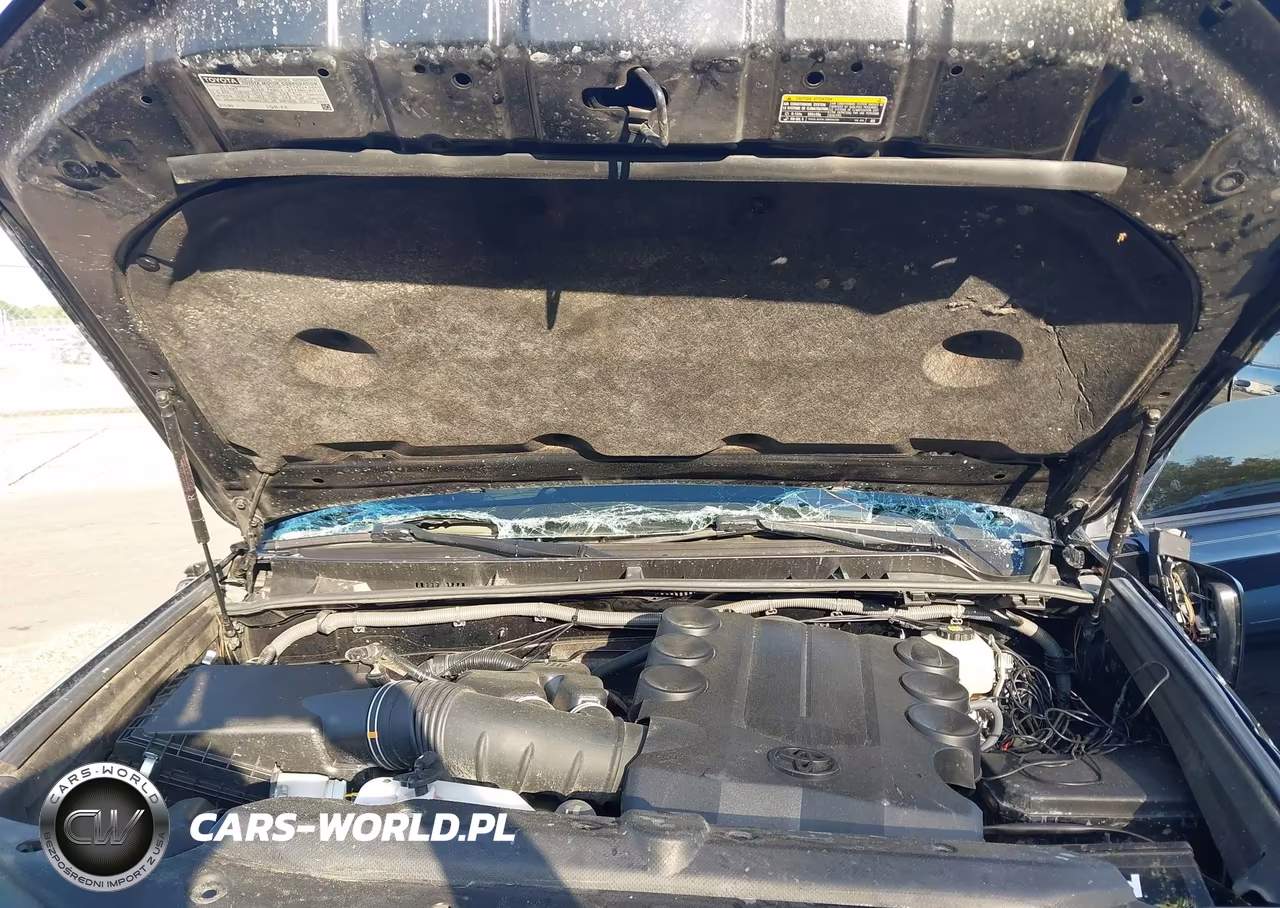 2019 Toyota 4Runner Sr5 Premium VIN:JTEBU5JR9K5666007 - 10