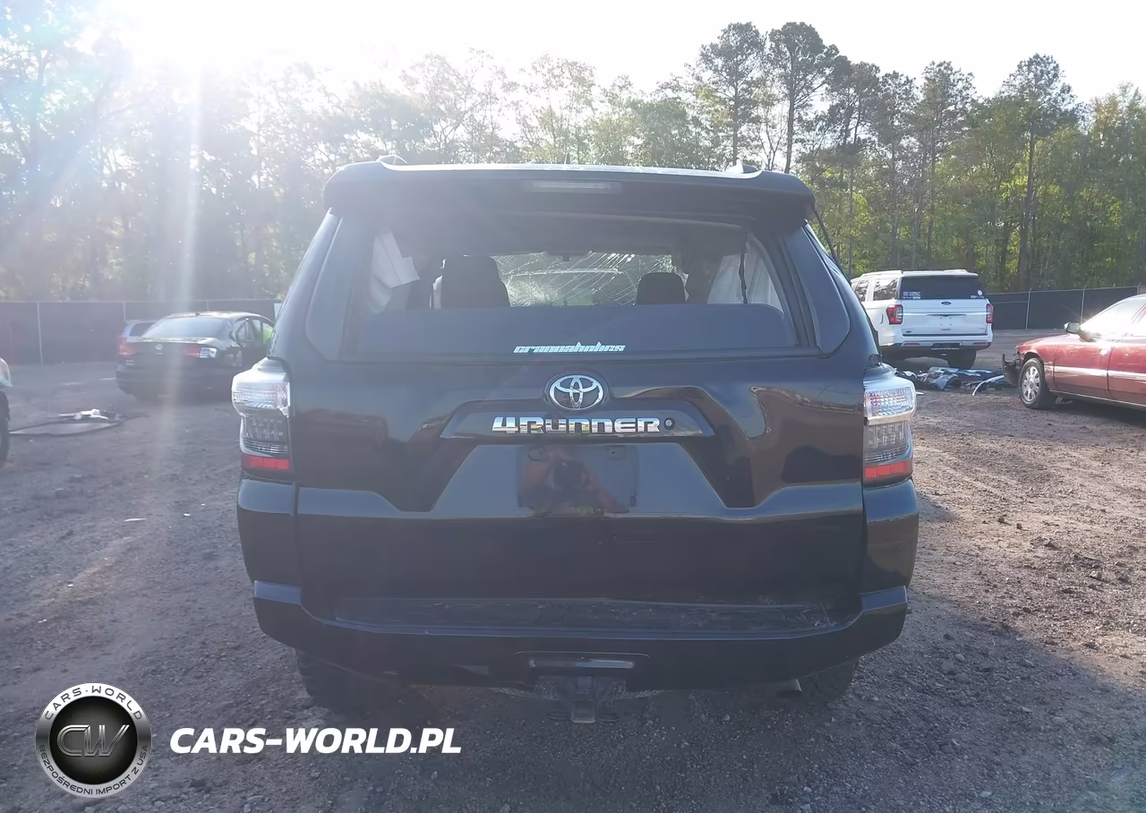 2019 Toyota 4Runner Sr5 Premium VIN:JTEBU5JR9K5666007 - 17