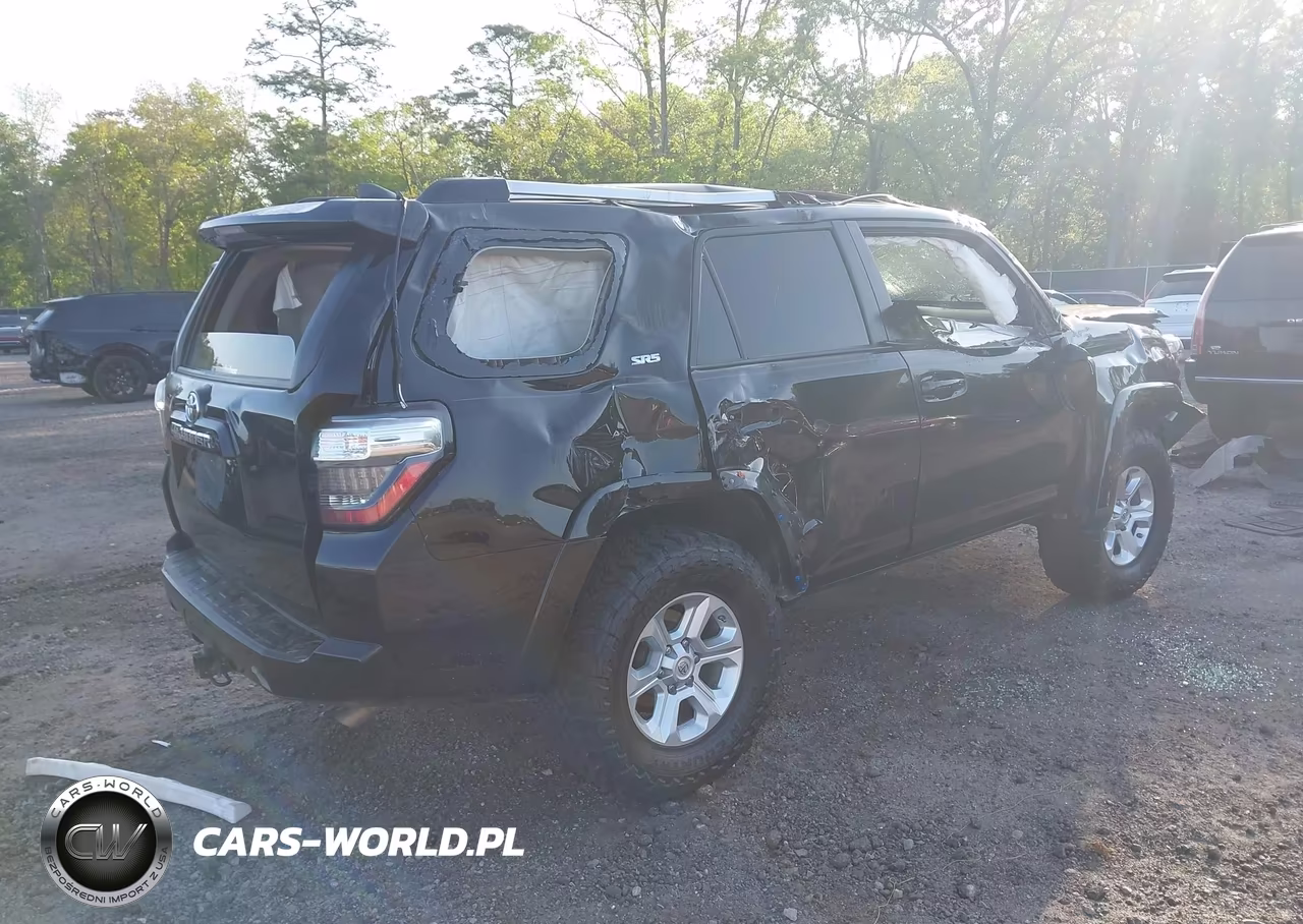2019 Toyota 4Runner Sr5 Premium VIN:JTEBU5JR9K5666007 - 4