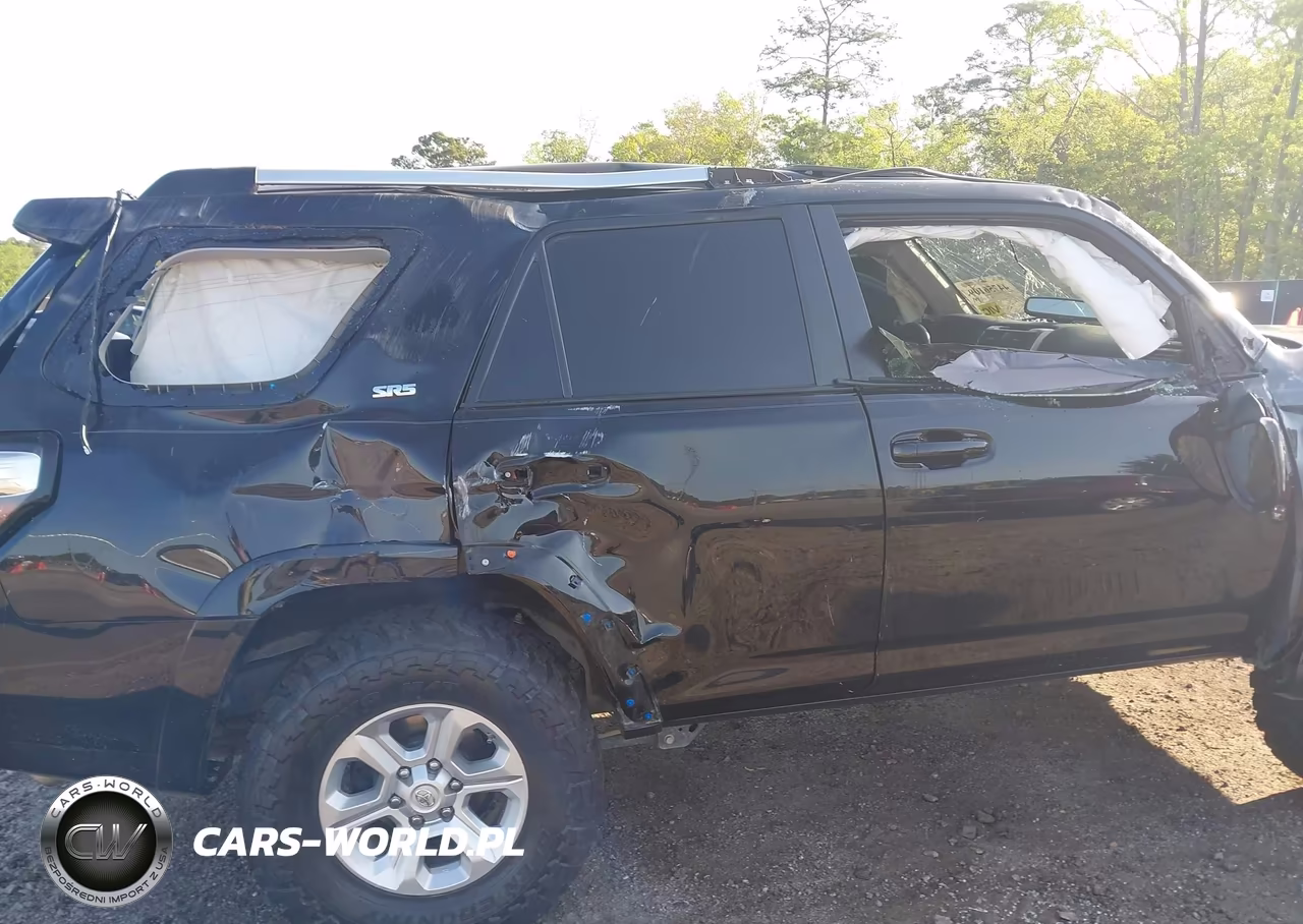 2019 Toyota 4Runner Sr5 Premium VIN:JTEBU5JR9K5666007 - 6