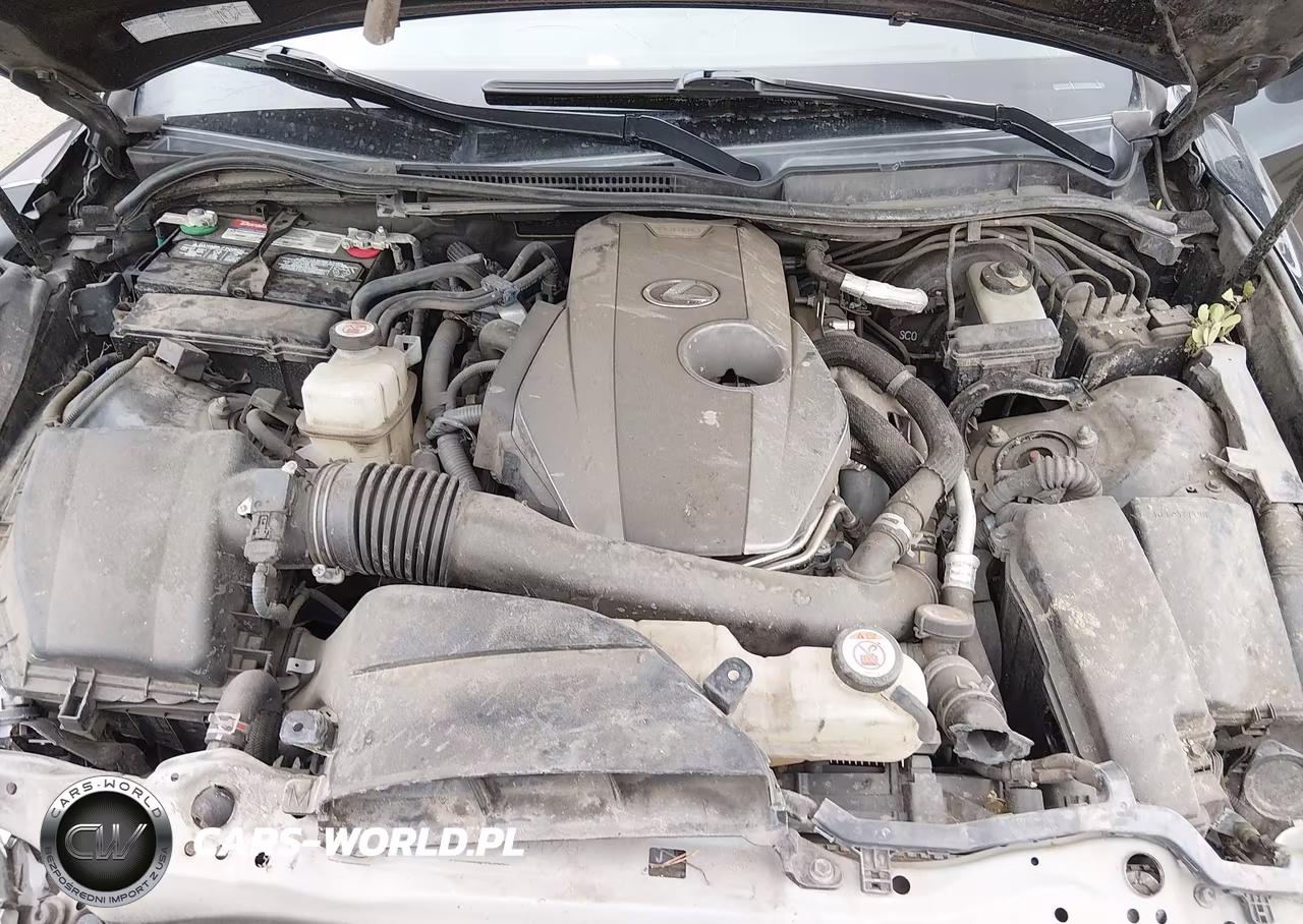 2018 Lexus Is 300 VIN:JTHBA1D25J5062312 - 10