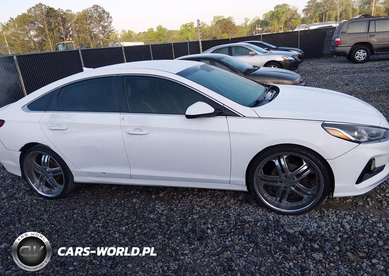 2019 Hyundai Sonata Se VIN:5NPE24AF8KH740718 - 12