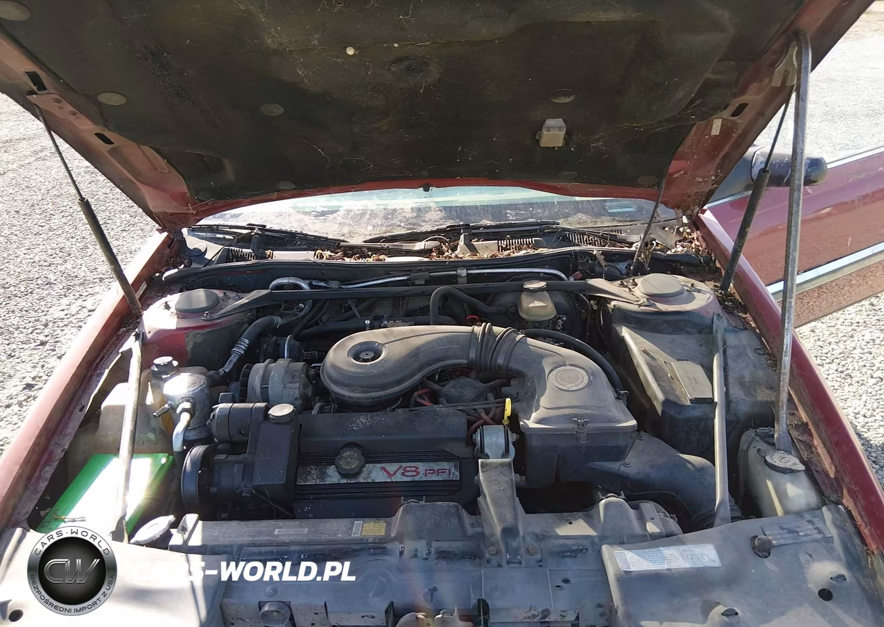 1992 Cadillac Eldorado VIN:1G6EL13B4NU626105 - 10