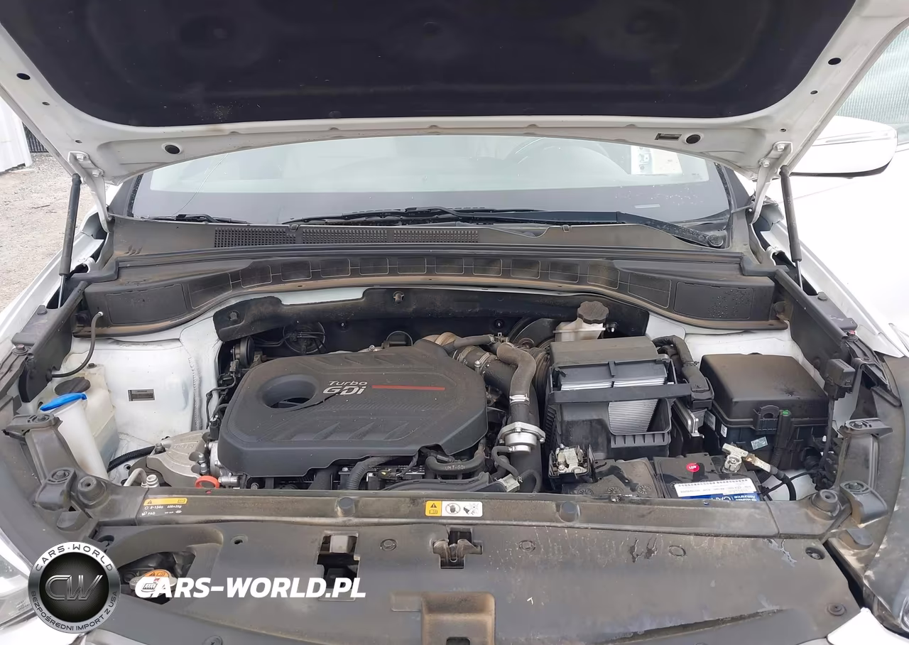 2017 Hyundai Santa Fe Sport 2.0T Ultimate VIN:5XYZW4LA6HG406100 - 10
