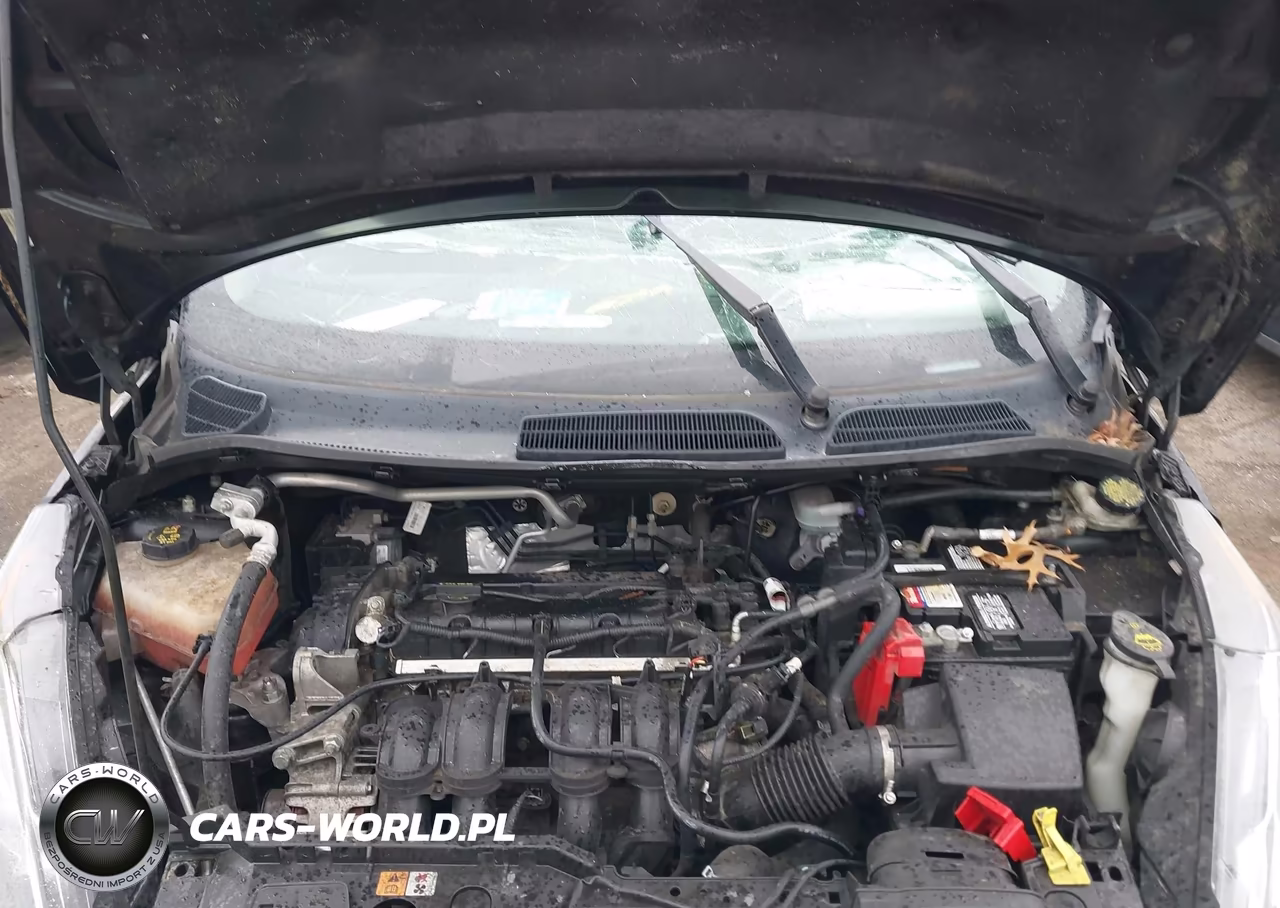 2015 Ford Fiesta Se VIN:3FADP4EJ3FM200954 - 10