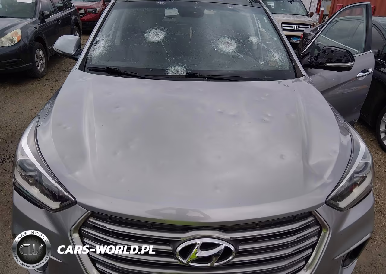 2017 Hyundai Santa Fe Se Ultimate VIN:KM8SR4HF5HU182163 - 17